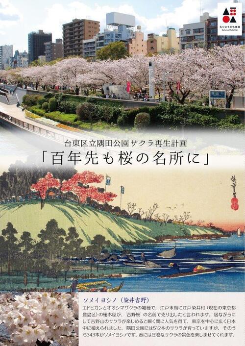 隅田公園サクラ再生パンフレット表紙