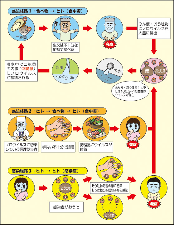 ノロウイルスの感染経路の図