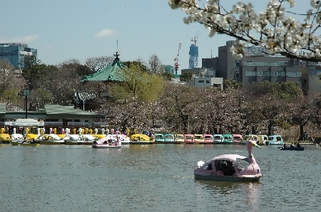 上野公園2番付近からの写真