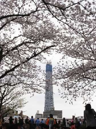 浅草7丁目1番付近からの写真