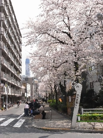 東浅草2丁目7番付近からの写真