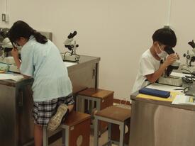 なぜなぜクラブ写真