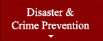 Disaster & Crime Prevention