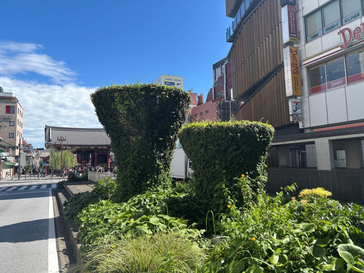 全景の写真