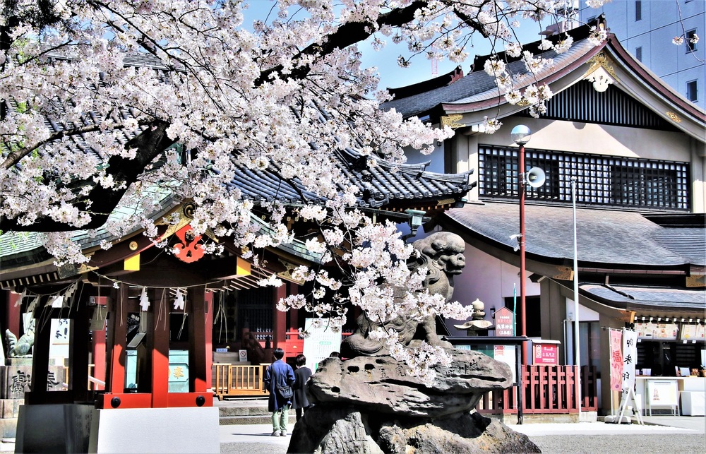 浅草神社の写真