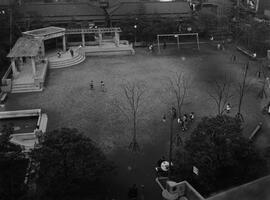 当時の公園写真（金杉公園）