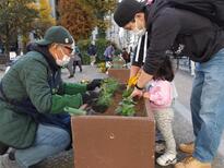 公園花壇植替え
