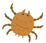 ダニイラスト