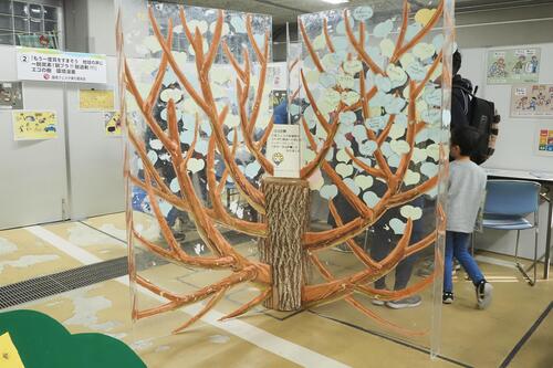 エコの樹の展示