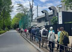 金杉地区ウォーキングの様子