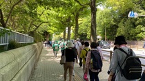 清川地区ウォーキングの様子