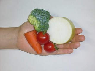 野菜120gの写真
