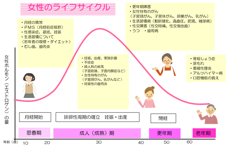 女性の健康について 台東区ホームページ