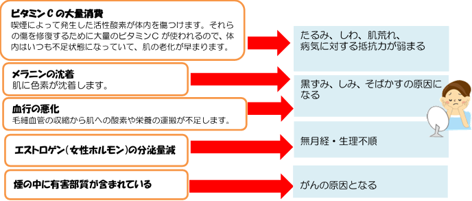 女性の喫煙気を付けて 台東区ホームページ