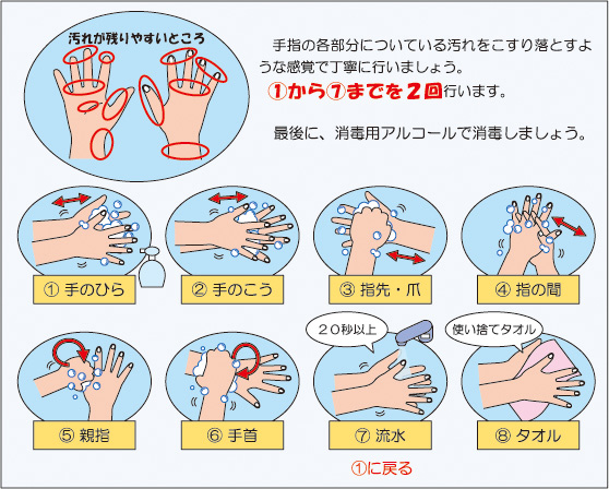 正しい手の洗い方の図