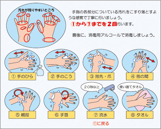 ノロウイルス食中毒にご注意ください 台東区ホームページ