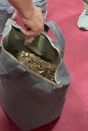 コンポストを実際に見ました