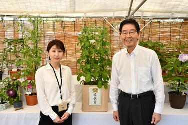 区長賞に選定したあさがおの写真