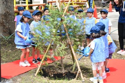 花川戸保育園園児の水やりの様子の写真