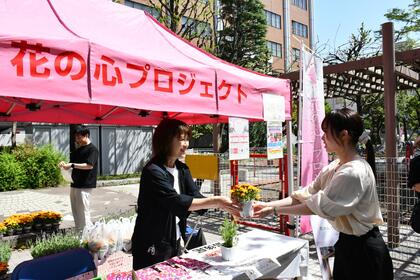 花苗の配布の写真