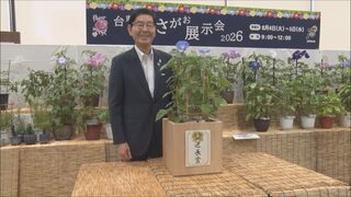 8月の動き