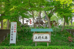 上野大仏の画像