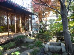 上野桜木会館晩秋の庭