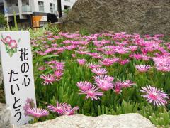 まちづくり・防災防犯・環境分野