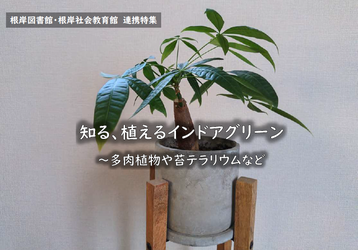 根岸図書館