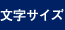 文字サイズ