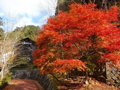秋の檜原村のイメージ写真