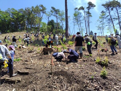 過去実施の様子の写真