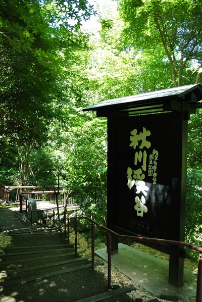 自然体験ツアー