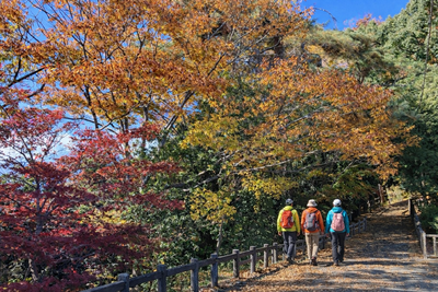「多摩の森」自然体験ツアー風景写真